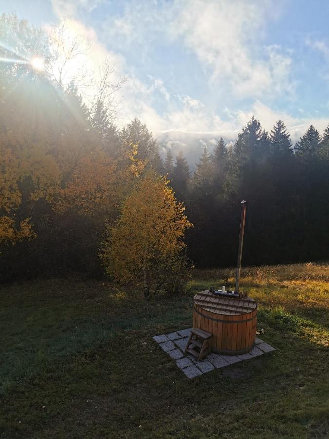 Trahutten Das Koralpenchalet...Sonne, Wald, Natur! מראה חיצוני תמונה