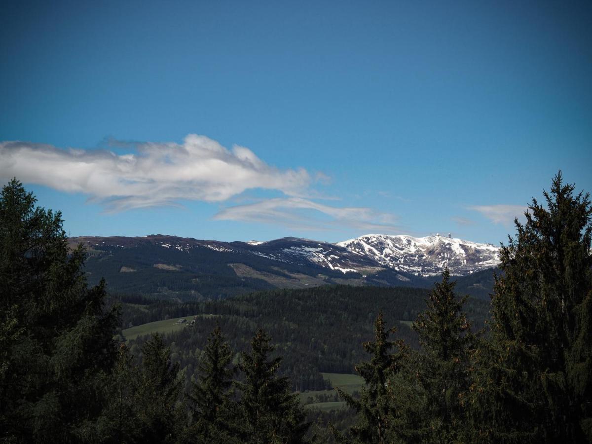 Trahutten Das Koralpenchalet...Sonne, Wald, Natur! מראה חיצוני תמונה