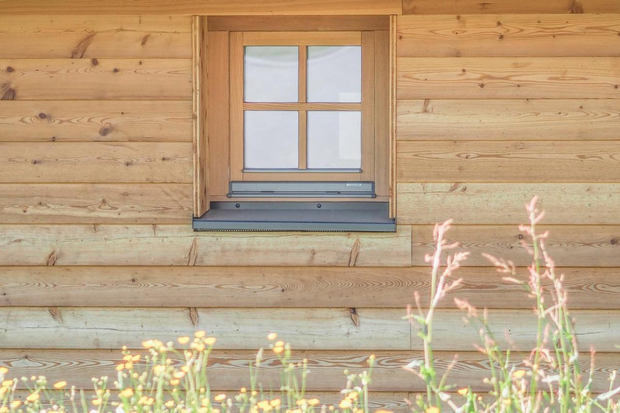 Trahutten Das Koralpenchalet...Sonne, Wald, Natur! מראה חיצוני תמונה